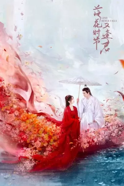 Mùa Hoa Rơi Gặp Lại Chàng