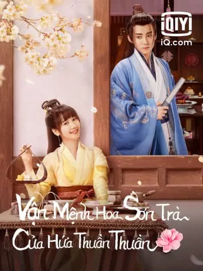 Vận Mệnh Hoa Sơn Trà Của Hứa Thuần Thuần